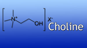 Choline Structure