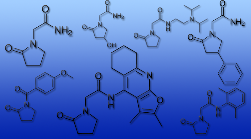 The racetam family of drugs