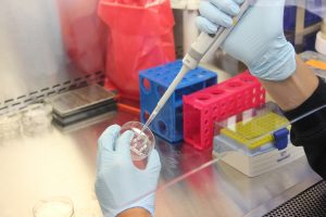 Researcher holds a petri dish filled with drugs and tests it with a syringe