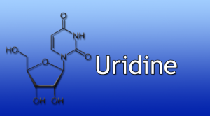 Uridine for motivation
