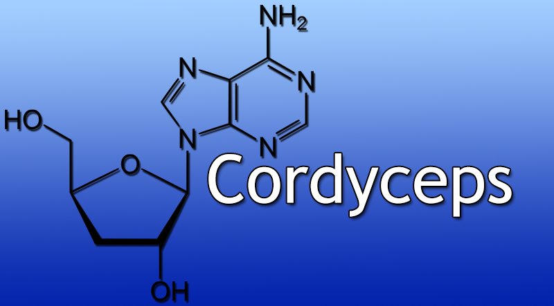 Cordyceps – Benefits, How it works, Side effects, Dosage