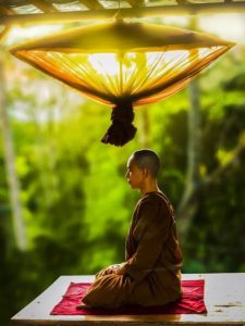 Monk meditating in a forest